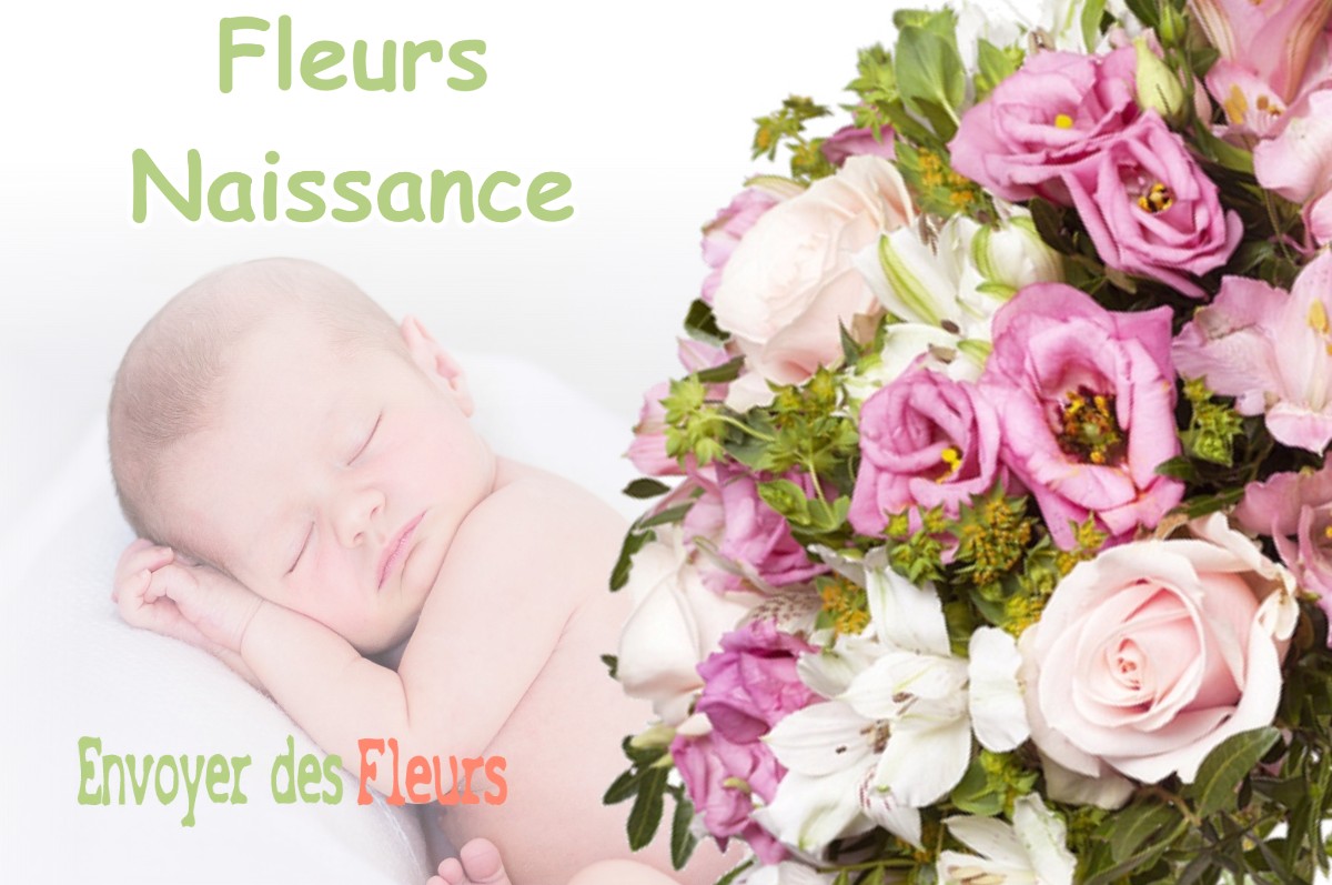 lIVRAISON FLEURS NAISSANCE à UTELLE